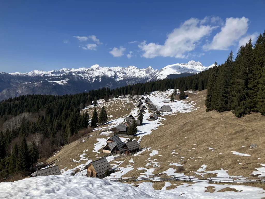 Iz Rudnega polja na planino Zajamniki