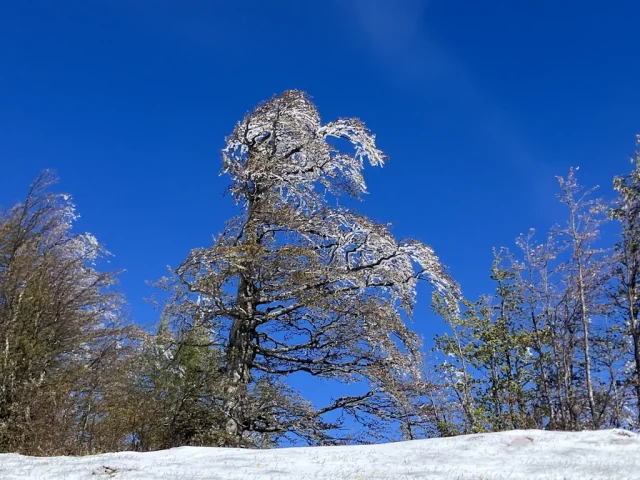 Zimski pohod sredi maja