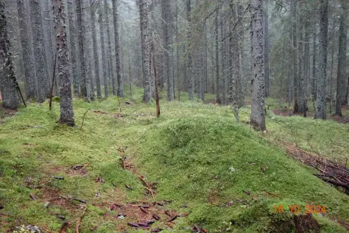 3-Kaksen-lep-je-pa-se