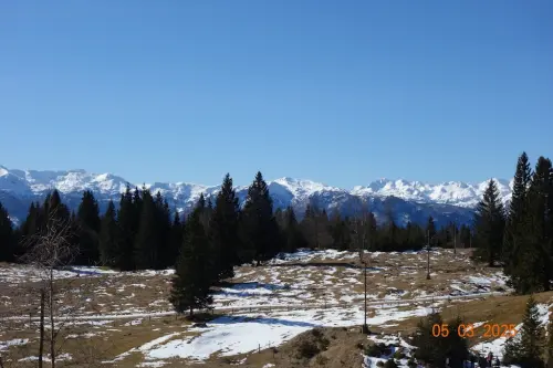 Bohinjski-hribi