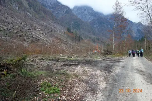 Ciscenje-po-vetrolomu