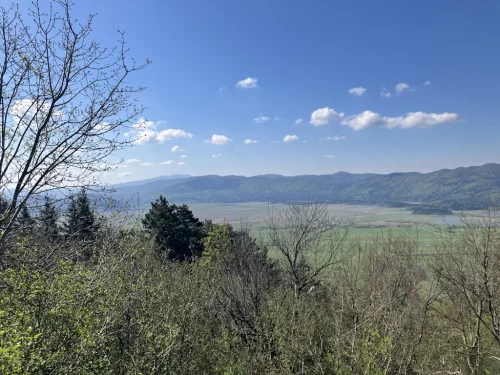 SLIVNICA