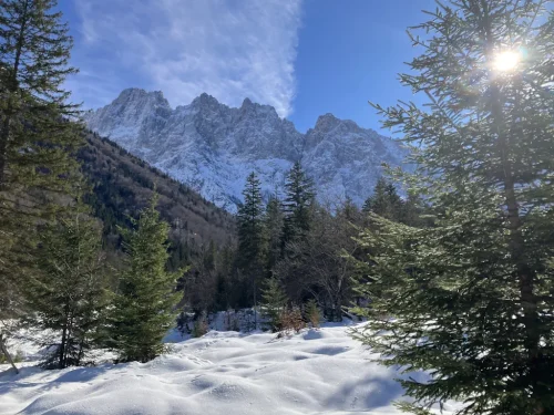 Martuljska-skupina-od-zadaj