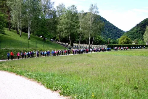 Na-daljso-varianto-nas-je-slo-vec