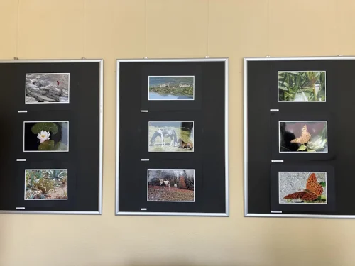 Nekaj-njenih-fotografij