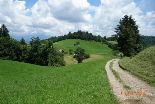 Pomlad-na-Skofjeloskem