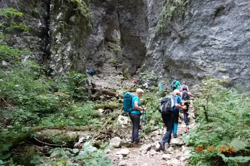 POKLJUŠKA SOTESKA