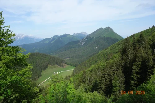 Pusti-rovt (1)