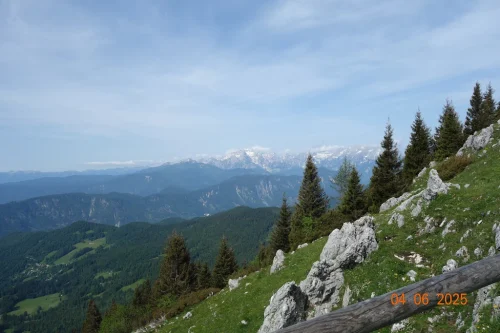 Razgled