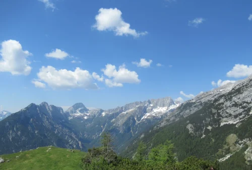 SOVNA GLAVA