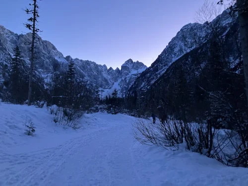 NOČNI POHOD V TAMAR-2