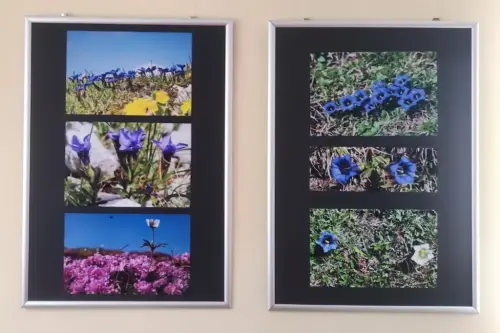 razstava-pavel-smolej-2