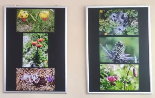 razstava-pavel-smolej-3