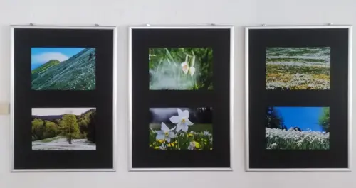 razstava-pavel-smolej