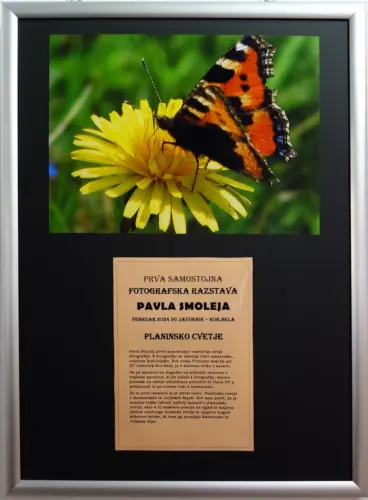 razstava